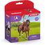 SCHLEICH Horse Club | Hannah & Cayenne 42539 | bewegliche Mädchenfigur | mit Pferde Zubehör | tolles Geschenk für Mädchen und Jungen | Pferde Spielzeug ab 5 Jahren | 10 Teile | exklusiv bei Amazon
