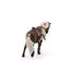 SCHLEICH Horse Club 42469 Rocky Mountain Horse Show Stute Pferde Spielset - Mit Realistischen Details und Zubehör, Pferde Spielzeug Set für Jungen und Mädchen ab 5 Jahren