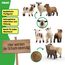 SCHLEICH Farm World | Schaffreunde 42660 Bauernhof Spielfigur | detailgetreue Tierfiguren | Geschenk für Jungen und Mädchen | Bauernhof Spielzeug ab 3 Jahre | Set aus 3 Teilen