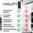 Ivality Magnet Kennzeichenhalter Rahmenlos für 2 Kennzeichen, Unsichtbare Rahmenlose Kennzeichenhalter Magnet für Auto, Wechselkennzeichenhalter Österreich, Straßenzugelassen, TÜV geprüft bis 350 km/h