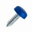 Kennzeichen Schrauben 4er Set Nummernschild Schrauben Set 4,8 x 16mm mit Kappen [ dezent | sicher | legal ] Kennzeichenbefestigung inkl. Abdeckkappen Befestigungsschrauben
