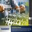 MASKO® Drehmomentschlüssel 6tlg. Set 40-210Nm 1/2' CV inkl. 3 Stecknüsse 17mm 19mm 21mm & Verlängerung 125mm Montagehandschuhe Koffer +/- 4% Toleranz Reifenschlüssel Auto Drehmoment-Schlüssel, Schwarz