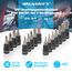 HASKYY Drehmomentschlüssel 1/4" 5-25Nm Set Bits PH1-2-3, FD4, H2-2.5-3-4-5-6-8, T20-25-27-30-4 &100mm Verlängerung Fahrrad Motor Motorrad Quad