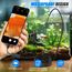 1920P HD Snake Inspektion Endoskop, pancellent Typ C Endoskop, Scope Kamera mit 8 LED Leuchten für Android und iOS Smartphone, iPhone, iPad, Samsung(5M)