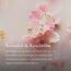 RITUALS The Ritual of Sakura Autoparfum Geschenkset – Enthält ein Autoparfum, eine Packung Autotücher und einen wiederverwendbaren Holzhalter mit 2 nachfüllbare Lufterfrischern