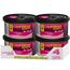 California Car Scents California Scents CCS-446TR Lufterfrischer „Coronado Cherry“, 4 Stück, Violet, Set of 4