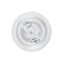 Bosch W16W Pure Light Halogen-Glühlampe für Auto-Scheinwerfer, 12 V 16 W, in Originalqualität - Lampensockel Typ W2,1x9,5d - 2er-Pack Ersatz-Scheinwerferlampen