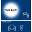 Bosch W21W Pure Light Halogen-Glühlampe für Auto-Scheinwerfer, 12 V 21 W, in Originalqualität - Lampensockel Typ W3x16d - 2er-Pack Ersatz-Scheinwerferlampen
