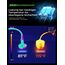 AINOPE 67.5W Zigarettenanzünder USB C Auto Ladegerät, [QC 3.0 & PD 45W] Schnell Metall KFZ USB C Adapter Auto [mit C zu C Kabel], Kompatibel mit Galaxy S25 24 Ultra, iPhone 17 Pro Max 16 15 14, Xiaomi
