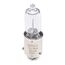 Bosch H6W Pure Light Halogen-Glühlampe für Auto-Scheinwerfer, 12 V 6 W, in Originalqualität - Lampensockel Typ BAX9s - 2er-Pack Ersatz-Scheinwerferlampen, Gelb, gelb