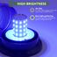 EYPINS 40 LED Rundumleuchte, 40W Auto Warnleuchte, Rundumleuchte Blau, Magnet Warnlicht Blinkleuchte Strobe Beacon Light mit 5 Meters-Kabel für 12V/24V Truck, KFZ, LKW, Traktor | E57 IP65