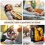 PEUJEW Reisekissen Memory Foam Kissen, Camping Kissen Kleines Kissen 45x35x12 cm, Reisekopfkissen mit Wasserdichter Packsack, Ideal für Flugzeug, Auto und Camping (M, Hellgrau)