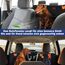 JOEJOY Hundedecke Auto Rückbank, Hunde Autositz Rückbank Verbreitert, Autoschondecke Hund Rücksitz mit Harter Unterseite, Hundesitzbezug Wasserdicht Kratzfest mit Sicherheitsgurt