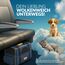 CADOCA® Transportbox Katzen bis 20kg faltbar Sonnen- und Regendach Schultergurt mit Napf Atmungsaktiv Komfortabel Wendekissen Haustier Katzenbox Tragetasche Hunde Auto Blau