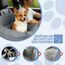 CALIYO Hundeautositz mit Stabiler Basis & Sicherheitsgurt | Hundesitz Auto für Kleine bis 10 kg | Memory Foam-Sitzauflage | Wasserdichter, Abwaschbarer Hundekorb mit Aufbewahrungstasche(Grau-Grün)