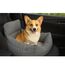CALIYO Hundeautositz mit Stabiler Basis & Sicherheitsgurt | Hundesitz Auto für Kleine bis 10 kg | Memory Foam-Sitzauflage | Wasserdichter, Abwaschbarer Hundekorb mit Aufbewahrungstasche(Grau-Grün)