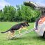 Hunderampe Auto Klappbar - Stabile und Rutschfeste Hundeleiter Auto & SUV bis zu 90kg Belastbar - Teleskop Alu Rampe für große Hunde - Reflektierende Seiten - Hundetreppe - Befestigungsclip, Anthrazit