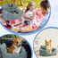 CALIYO Hundeautositz mit Stabiler Basis & Sicherheitsgurt | Hundesitz Auto für Kleine bis 10 kg | Memory Foam-Sitzauflage | Wasserdichter, Abwaschbarer Hundekorb mit Aufbewahrungstasche(Grau-Grün)