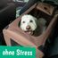 PET VIOLET Hundebox Hundetransportbox faltbar & robust für Auto & Reise – 62×42×44 cm – atmungsaktive Transportbox Transporttasche für Hunde & Katzen Stoffbox Tragetasche Grau