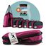 SEESCHWALBE Packing Cubes Compression | 6-teiliges Set | Premium Packwürfel kompression als ultraleichte Rucksack Organizer oder Koffer Organizer | Ideale Packtaschen für deine Reise (himbeer)