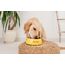 JosiDog Mini (900g) | Hundefutter für kleine Rassen | Premium Trockenfutter für ausgewachsene Hunde | powered by JOSERA | 1er Pack