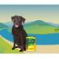 JosiDog Chicken in Sauce (12 x 415 g) | Adult | Premium Nassfutter für ausgewachsene Hunde | mit Huhn in Sauce mit Vitamin D3 & E | Powered by JOSERA | Hundefutter nass | Alleinfutter | 12er Pack