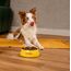 JosiDog Mini (900g) | Hundefutter für kleine Rassen | Premium Trockenfutter für ausgewachsene Hunde | powered by JOSERA | 1er Pack
