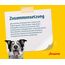 JOSERA Light & Vital (5 x 900 g) | Adult | Premium Trockenfutter für ausgewachsene Hunde | Geflügel & Erbse | wenig Fett & viel Protein zur Gewichtskontrolle | weizenfrei | Hundefutter | 5er Pack