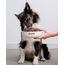 JosiDog Mini (900g) | Hundefutter für kleine Rassen | Premium Trockenfutter für ausgewachsene Hunde | powered by JOSERA | 1er Pack