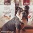 bosch HPC SOFT Land-Ente & Kartoffel | halbfeuchtes Hundefutter für ausgewachsene Hunde aller Rassen | Single Protein | grain-free | 1 x 2.5 kg