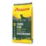 JOSERA YoungStar (1 x 12,5 kg) | Junior | Premium Trockenfutter für wachsende Hunde | Geflügel & Kartoffel | getreidefrei | Welpenfutter für mittlere und große Rassen | Hundefutter | 1er Pack
