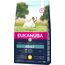 Eukanuba Hundefutter mit frischem Huhn für kleine Rassen, Premium Trockenfutter für ausgewachsene Hunde, 3 kg