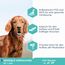 Eukanuba Daily Care Sensitive Digestion Hundefutter - Trockenfutter für Hunde mit sensibler Verdauung, Magenfreundlich mit leicht verdaulichem Reis, 12 kg