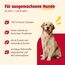 animonda GranCarno Adult mit Geflügelherzen (6 x 400 g), Hunde Nassfutter für ausgewachsene Tiere, Nassfutter für Hunde mit 100% frischen, fleischlichen Zutaten, Hundefutter ohne Getreide