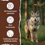 WOLFSBLUT – Wild Duck Adult | Trockenfutter mit natürlichen Zutaten und Superfoods für ausgewachsene Hunde. Getreidefreies Alleinfutter ohne Zusatzstoffe im Beutel | 2kg Ente