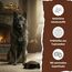 WOLFSBLUT – Dark Forest Adult | Trockenfutter mit natürlichen Zutaten und wertvollen Superfoods für ausgewachsene Hunde. Getreidefreies Alleinfutter ohne Zusatzstoffe im Beutel | 12,5kg Wild