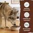 WOLFSBLUT – Wide Plain Adult | Trockenfutter mit natürlichen Zutaten und wertvollen Superfoods für ausgewachsene Hunde. Getreidefreies Alleinfutter ohne Zusatzstoffe im Beutel | 12,5kg Pferd