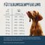 Lakefields Premium Hundefutter Nass | Wild 59% | 6 x 800g | Getreidefreies Nassfutter für Hunde | Natürliche Zutaten in Lebensmittelqualität | Karotten, Kartoffeln & Heidelbeeren | Schonend gegart