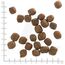 WOLFSBLUT – Cold River Adult | Trockenfutter mit natürlichen Zutaten und wertvollen Superfoods für ausgewachsene Hunde. Getreidefreies Alleinfutter ohne Zusatzstoffe im Beutel | 12,5kg Forelle
