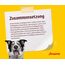 JOSERA Festival (1 x 15 kg) | Adult | Premium Trockenfutter für ausgewachsene wählerische Hunde | Lachs & Geflügel | in leckerem Soßenmantel auch zum Einweichen | weizenfrei | Hundefutter| 1er Pack