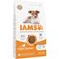 IAMS Junior Hundefutter trocken mit Huhn - Welpenfutter für Welpen im Alter von 1-12 Monaten, geeignet für kleine & mittelgroße Rassen, 3 kg