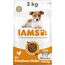 IAMS Junior Hundefutter trocken mit Huhn - Welpenfutter für Welpen im Alter von 1-12 Monaten, geeignet für kleine & mittelgroße Rassen, 3 kg