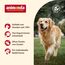 animonda GranCarno Hunde Nassfutter mit Wild (6 x 400 g), getreidefreies Hundenassfutter ohne Zucker, für ausgewachsene Hunde, mit frischen fleischigen Zutaten