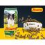 JOSERA Adult SensiPlus Ente & Reis (1 x 3 kg) | Premium Trockenfutter für ausgewachsene empfindliche Hunde | mit viel Biotin für gesunde Haut & Fell | hoch verdaulich | glutenfrei | 1er Pack