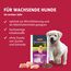 animonda GranCarno Junior Hundetrockenfutter getreidefrei Geflügel + Lamm (1 x 12 kg), Trockenfutter für Junge Hunde ohne Getreide, Welpenfutter trocken mit hoher Bekömmlichkeit