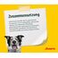 JOSERA Lachs & Kartoffel (5 x 900 g) | Adult | Premium Trockenfutter für ausgewachsene Hunde | Kartoffel & Lachs als einzige tierische Proteinquelle | getreidefrei | Hundefutter| 5er Pack