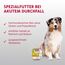 animonda INTEGRA PROTECT Intestinal Pute Pur (11 x 150 g), Hunde Diätfutter bei Durchfall & Erbrechen, Hundefutter mit Pute und Reis, leicht verdauliches Nassfutter für Hunde