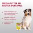 animonda INTEGRA PROTECT Intestinal Huhn Pur (6 x 400 g), Hunde Diätfutter bei Durchfall & Erbrechen, Hundefutter mit Huhn und Reis, leicht verdauliches Nassfutter für Hunde