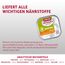 animonda INTEGRA PROTECT Intestinal Pute Pur (11 x 150 g), Hunde Diätfutter bei Durchfall & Erbrechen, Hundefutter mit Pute und Reis, leicht verdauliches Nassfutter für Hunde