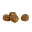 Dehner Wild Nature Hundefutter Unterholz, Trockenfutter getreidefrei / zuckerfrei, für ausgewachsene Hunde, Wildschwein, 12 kg